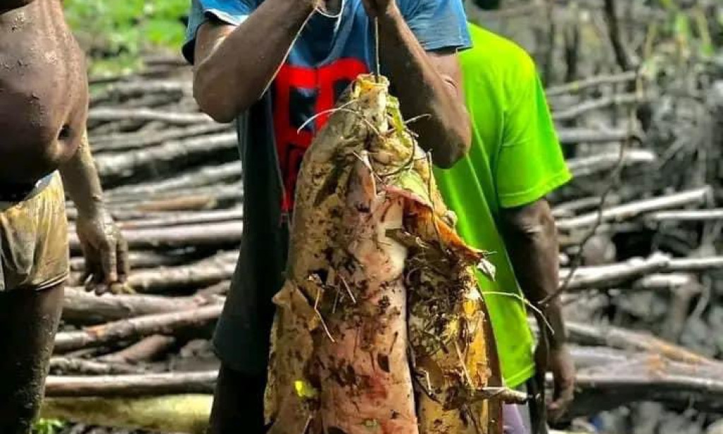 The Obaship of Ogba Land: History, Genealogy, and Tradition