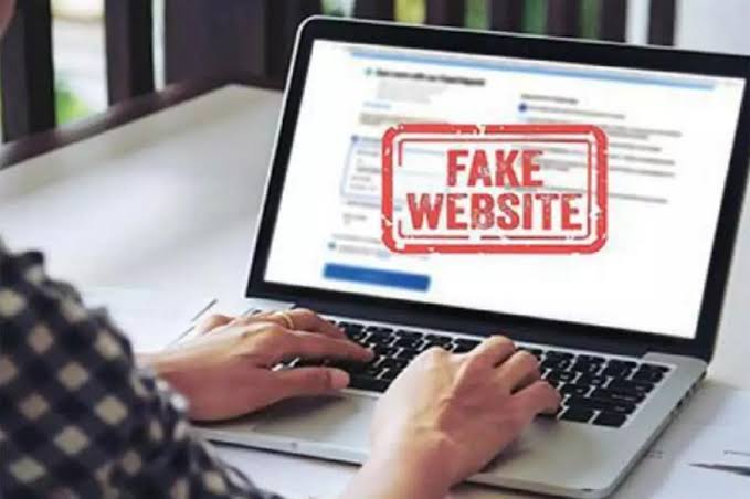 Identifying fake websites