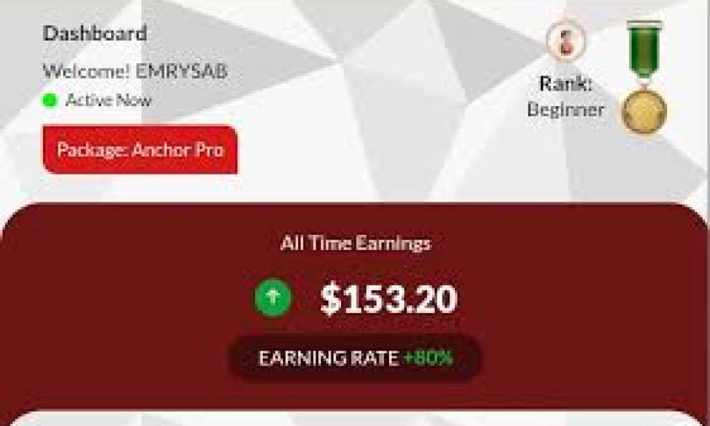 Unanchoring the Truth: Is Anchor a Legitimate Opportunity or a Scam?