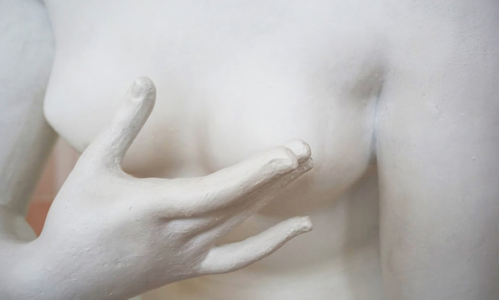 SELF BREAST EXAMINATION a primary factor in the prevention of Breast Cancer