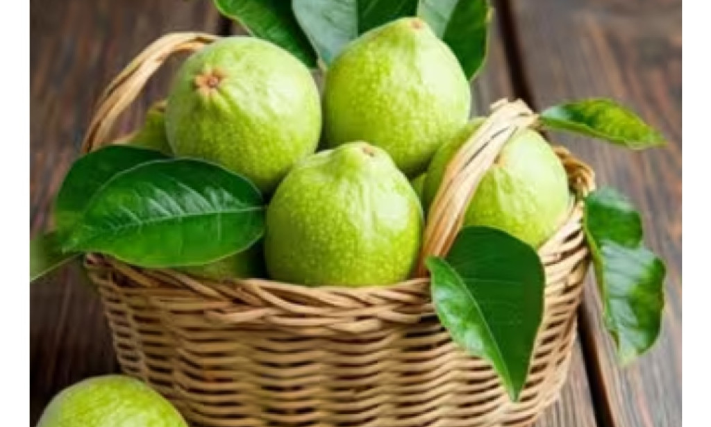 Guava leaf: The Secret Weapon of Weight loss.