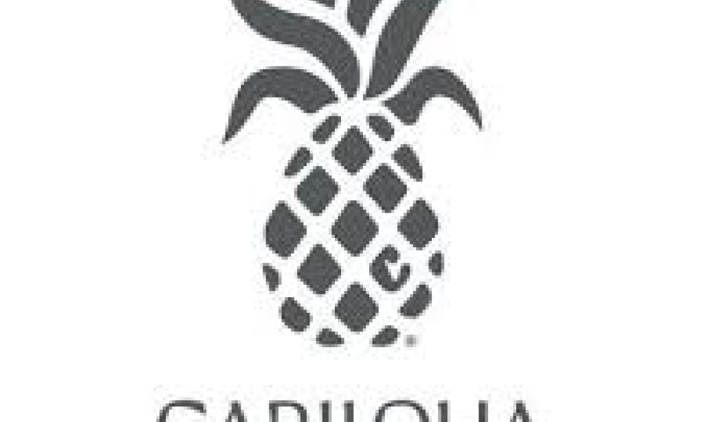 How to Live Sustainably: A Step-by-Step Guide to an Eco-Friendly Lifestyle