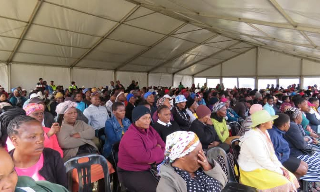 Eastern Cape veld and forest firefighters battle summer blaze