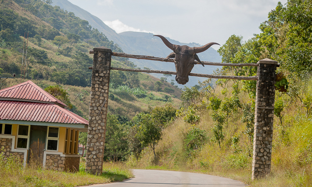 What you need to know about the world