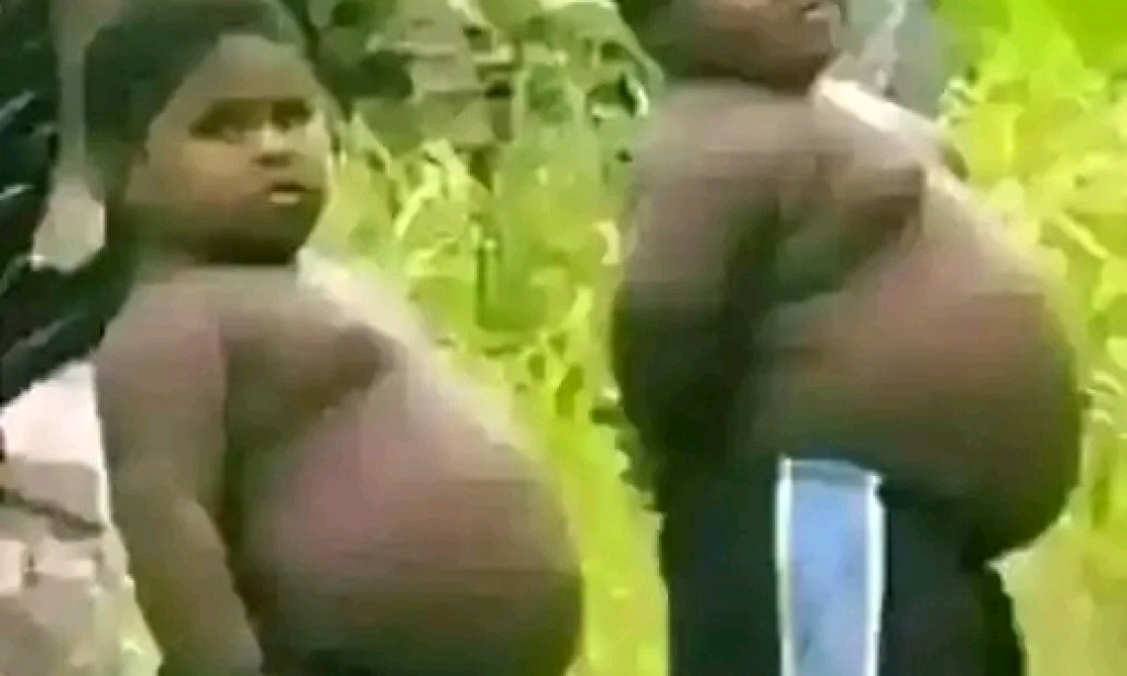 Funny jokes for the day