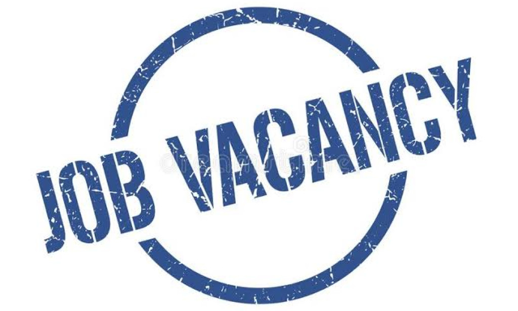 BID AND DOCUMENTATION EXECUIVE