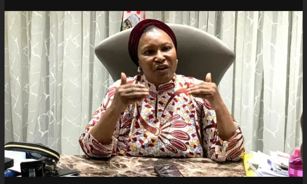 I Will Champion Natasha’s Sexual Harassment Allegation Against Akpabio – Ireti Kingibe