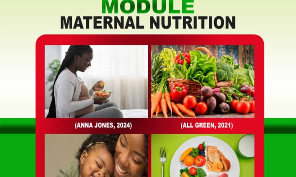 What Research Revealed about the impact of plant based diet on longevity.