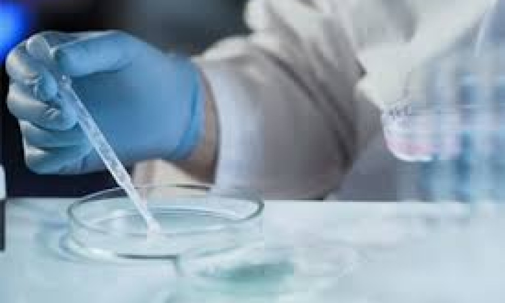 Medical Insights from Wildlife: Nature's Blueprint for Healing