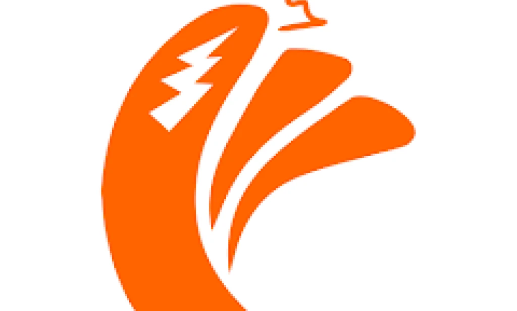 Charge Joy App Scam Exposed: Why It’s a Fraud in 2025