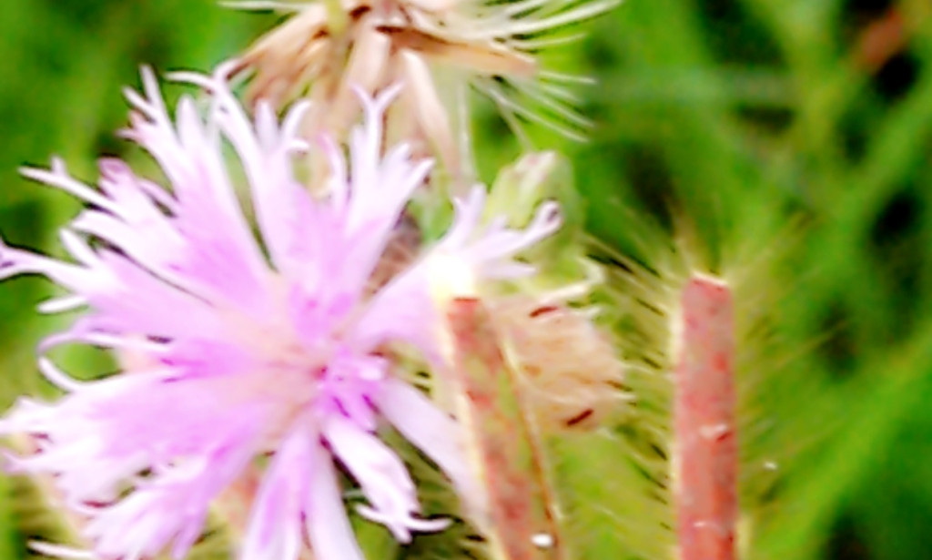 The physiology of prayer