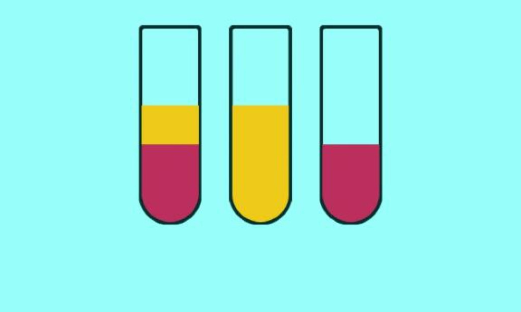 Color Lab Game App Review 2025: Legit Play-to-Earn or a Scam?