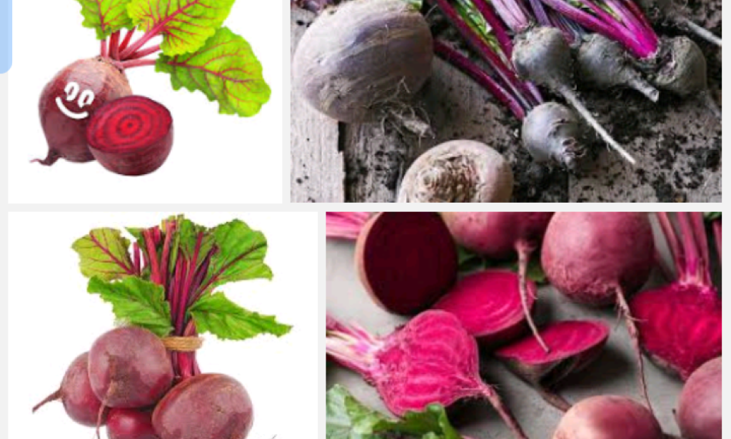 United history on practical essay