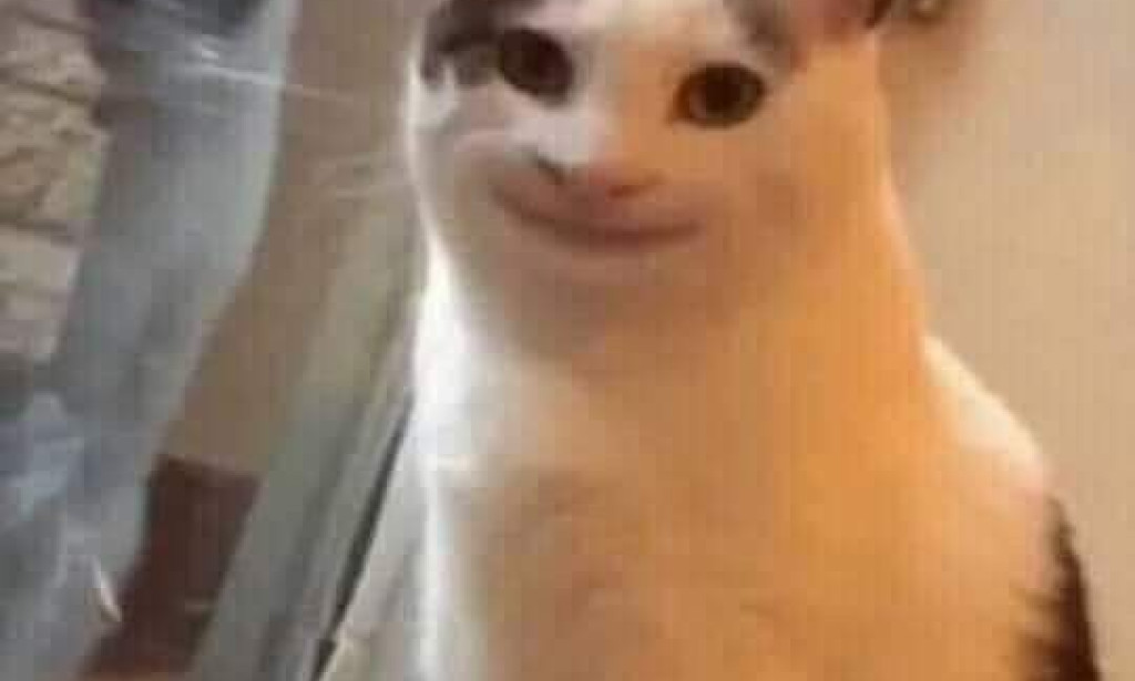 The App That Pays You to Say “Meow” at Random Hours 🐱⏰💰