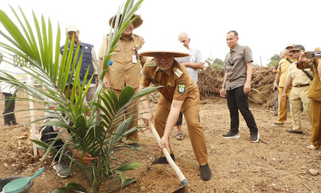 PROWITRA'S OUTSTANDING PROGRAM OFFICIALLY STARTS, BUNGO REGENT PLANT THE FIRST OIL PALM SEEDLINGS