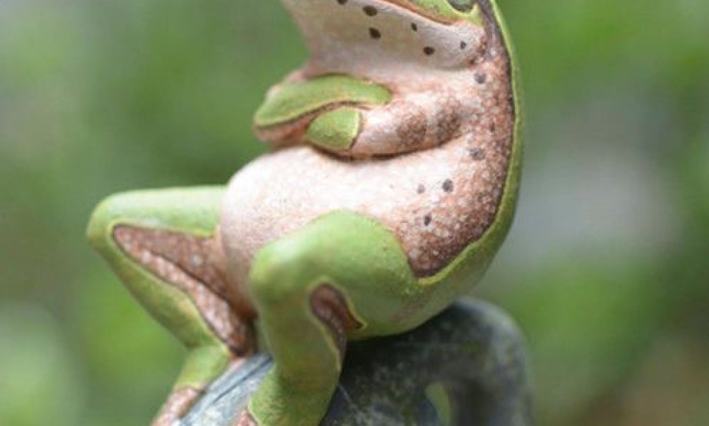 Got Paid to Make Eye Contact with a Virtual Frog for 9 Minutes 🐸👀💰