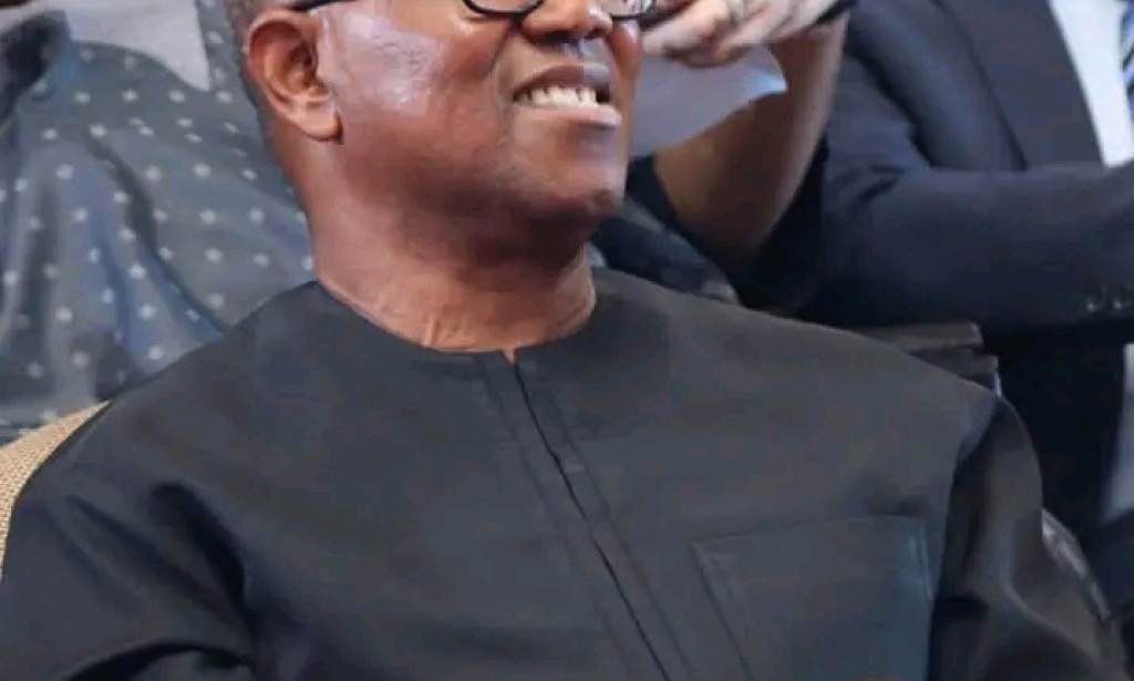 Peter Obi Advocate For Single Five Years Presidential Term In Nigeria