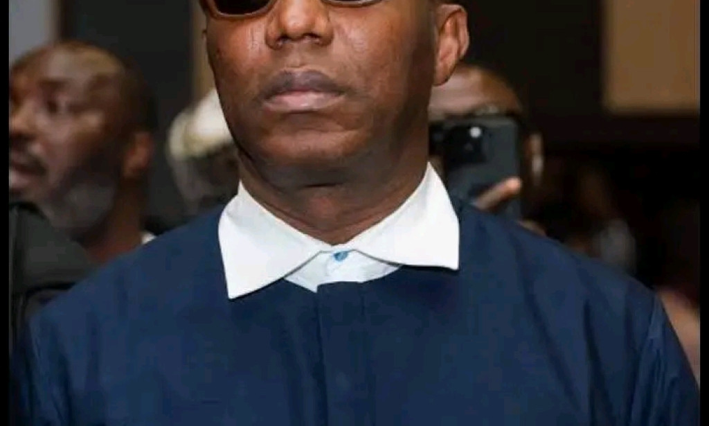 Sowore Arrested Over Criminal Offences,No Torture In Police Custody