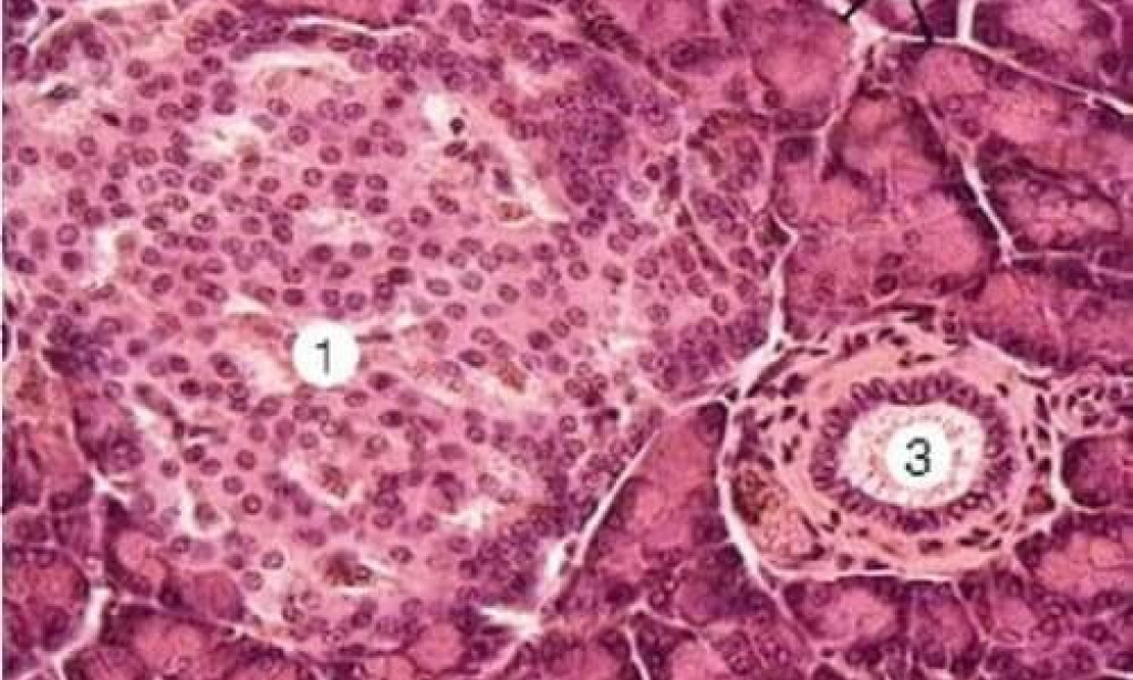 We the expert told how to do cleansing