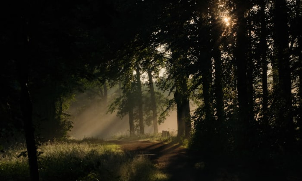 The Narrow Road: Why Few Choose the Path to Life