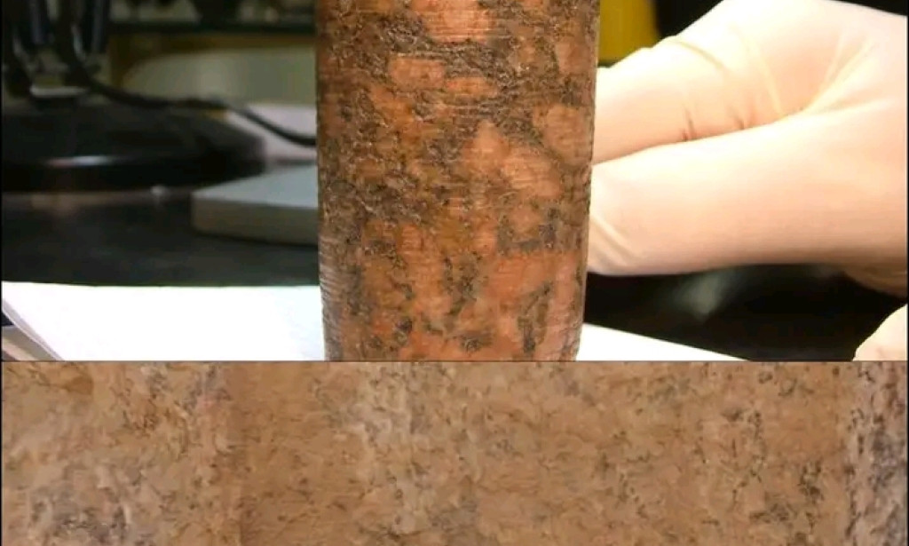 The Rise and Fall of Ancient Rome