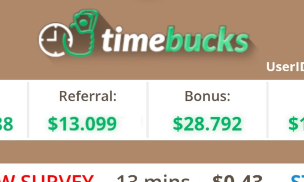 How I Made $456 on TimeBucks: A Realistic Guide to Earning Online