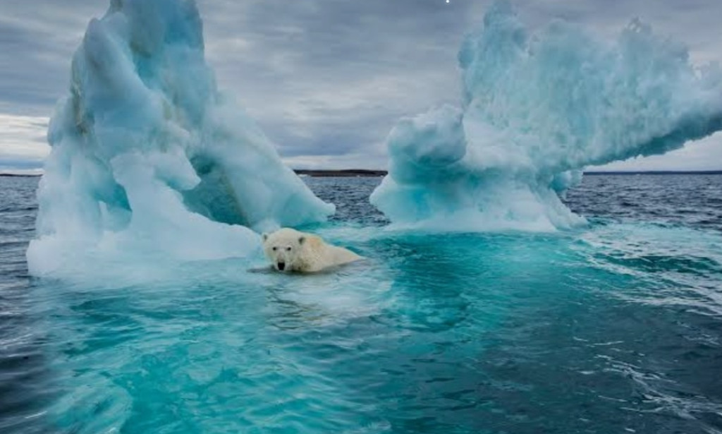 Global Warming: A Threat We Cannot Ignore