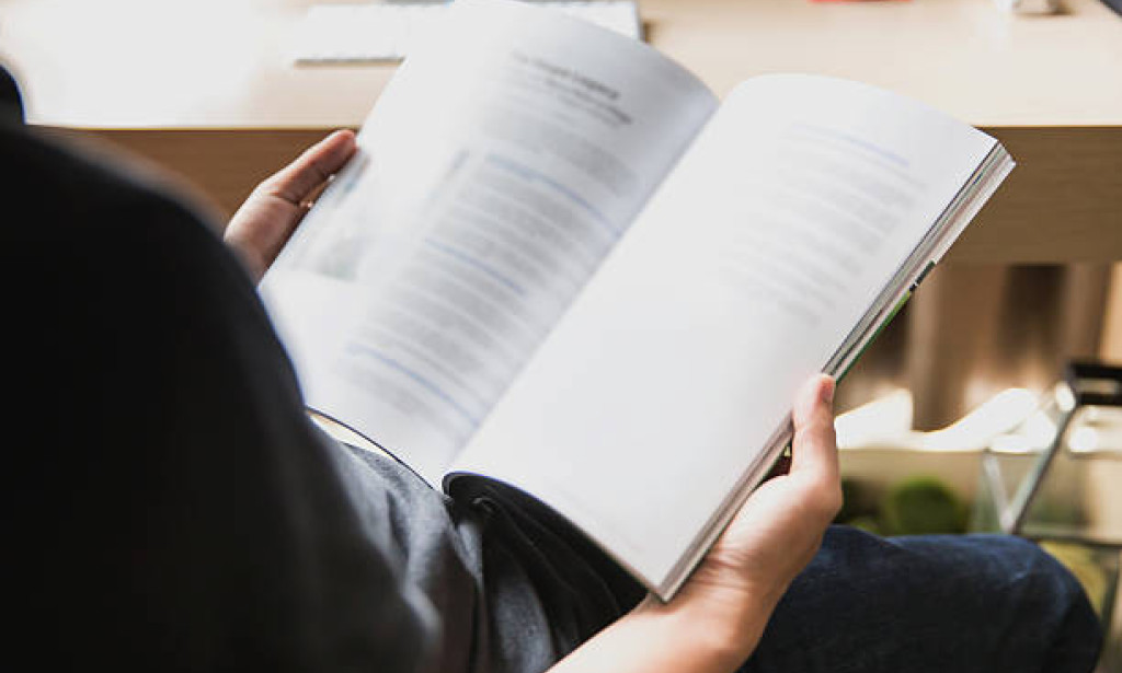 The Colorful Journey: Exploring the Vibrant Tapestry of school life