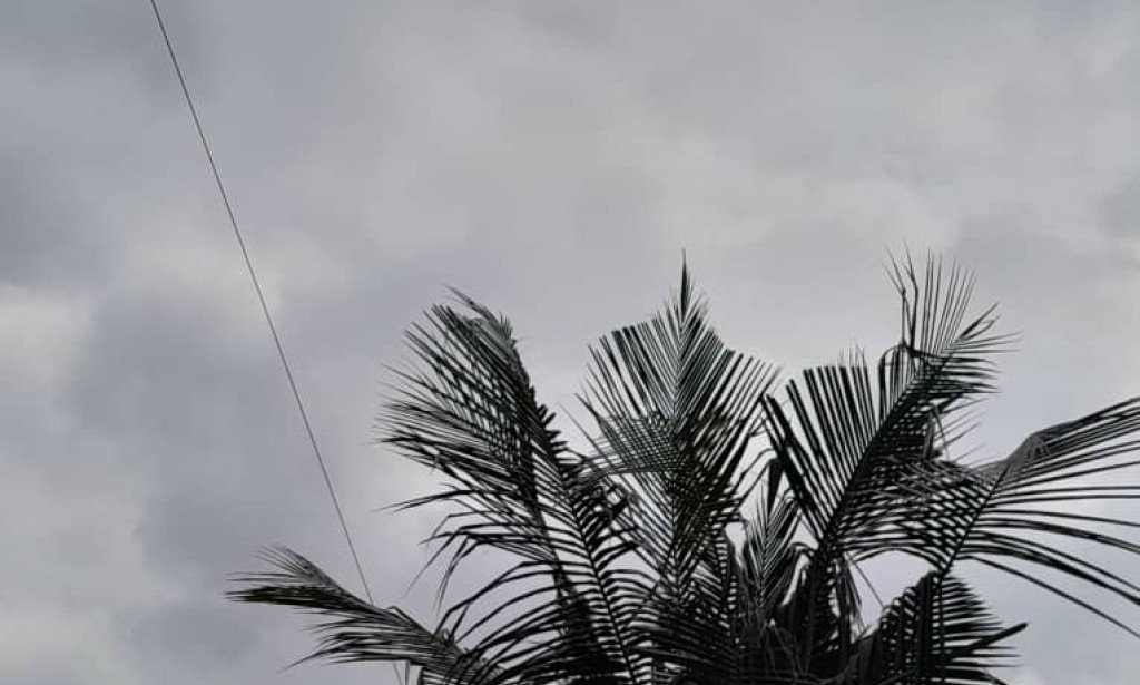 Praise El 1- Childhood ( One - The Margin of Correct