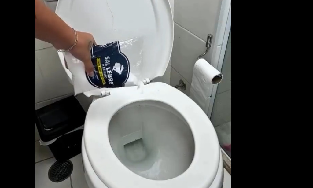 Why you should pour salt into the toilet and how often to do it—these are the benefits you will get in your home