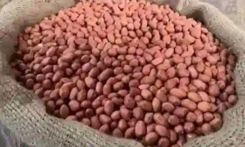 SIMPLE AND EFFECTIVE WAY TO START AND GROW YOUR OWN PEANUTS AT HOME.