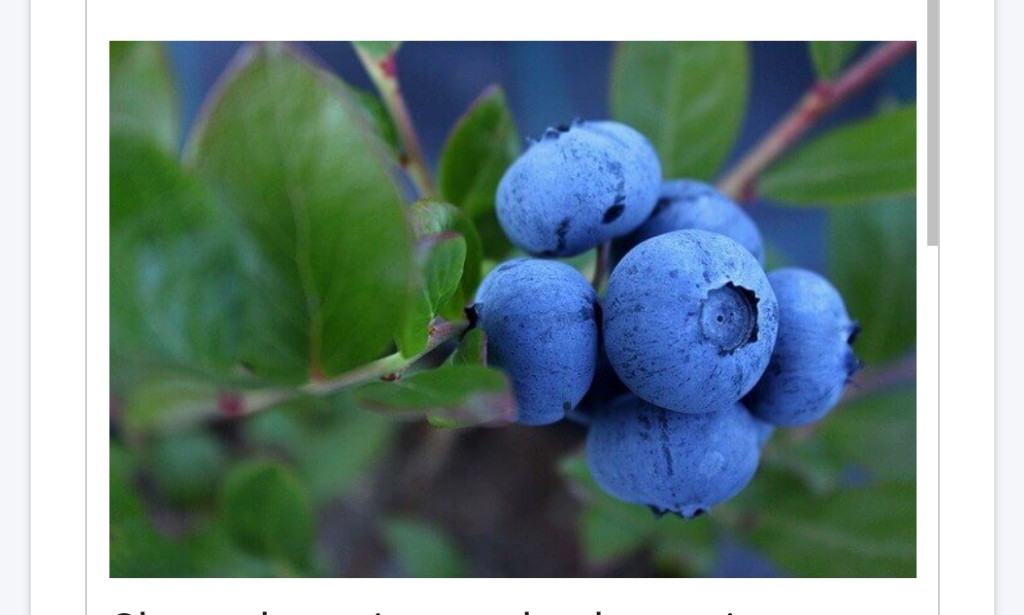 Food that Clear Arteries and Boost Blood Flow Fast