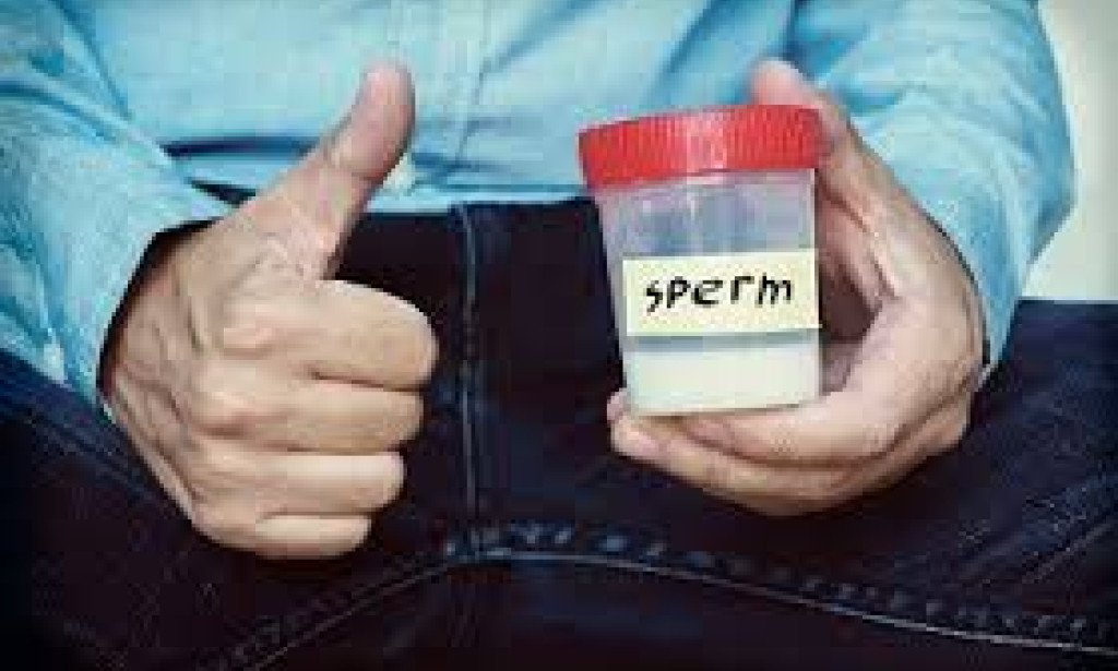 The Real Criteria Women Use to Pick Sperm Donors