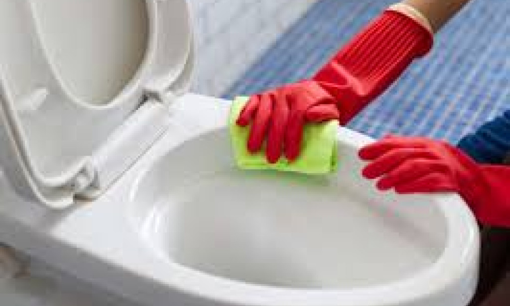 Why You Should Put a Cloth with Vinegar in Your Toilet Bowl