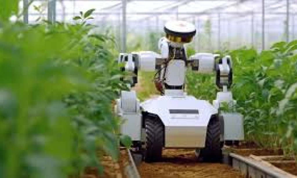 Young Kenyans Turn to AI to Grow Food and Fight Climate Change