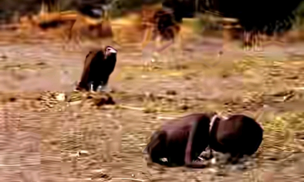 The photograph that shock the world.