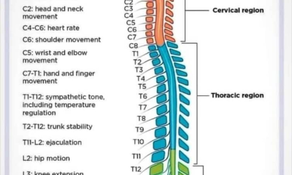5 foods that are dangerous to health but people ignore