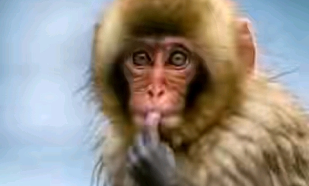 Lodpost, legit and easy to use