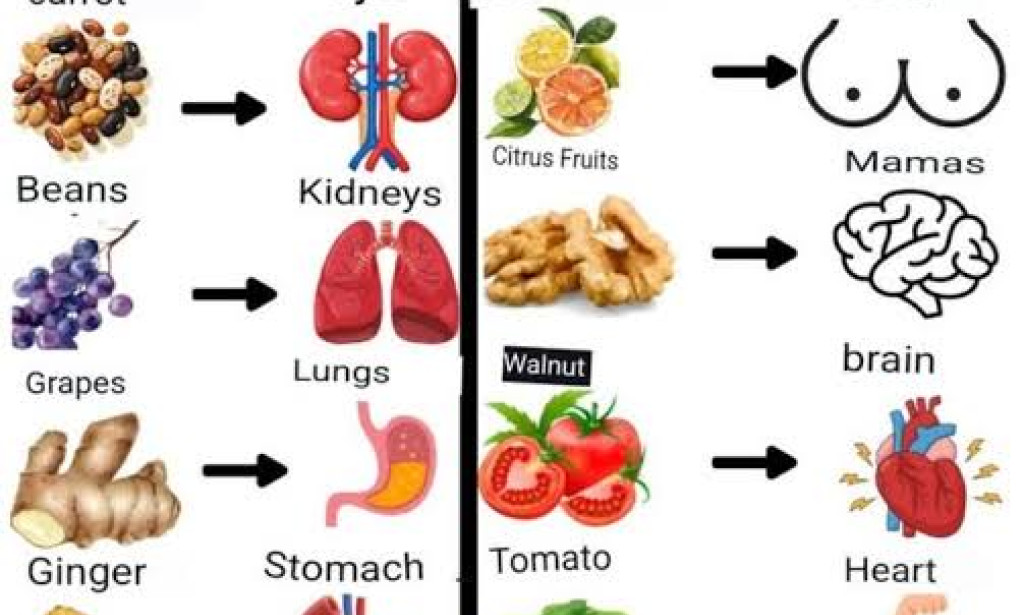 The Importance of Food in Our Daily Lives