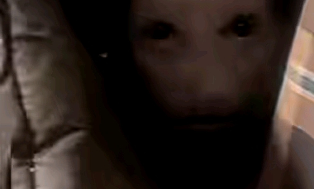 My grandmother is a ghost