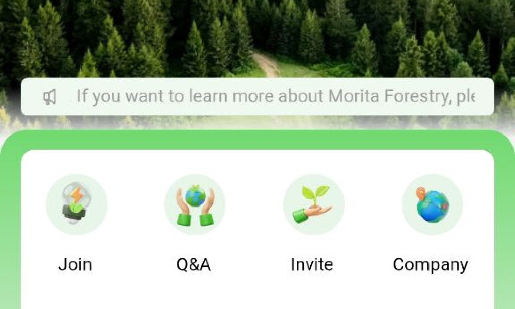 Morita Forestry Scam or Legit? Honest Review Before You Invest