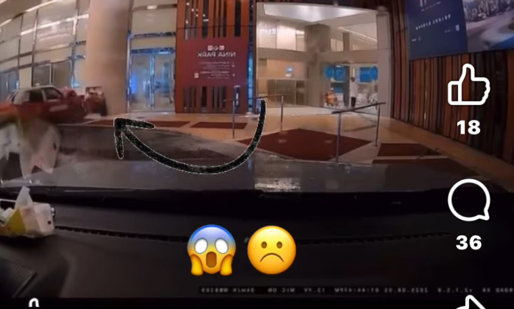 Why Remyl matignas case happen