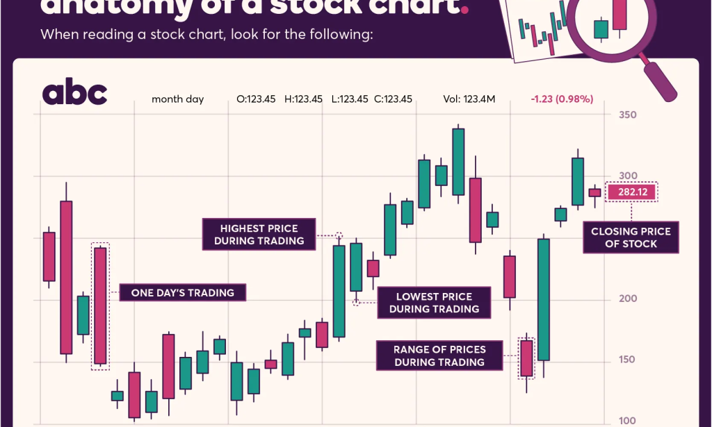 Beginner's Guide to Investing: Stocks vs. Savings vs. Crypto in 2026