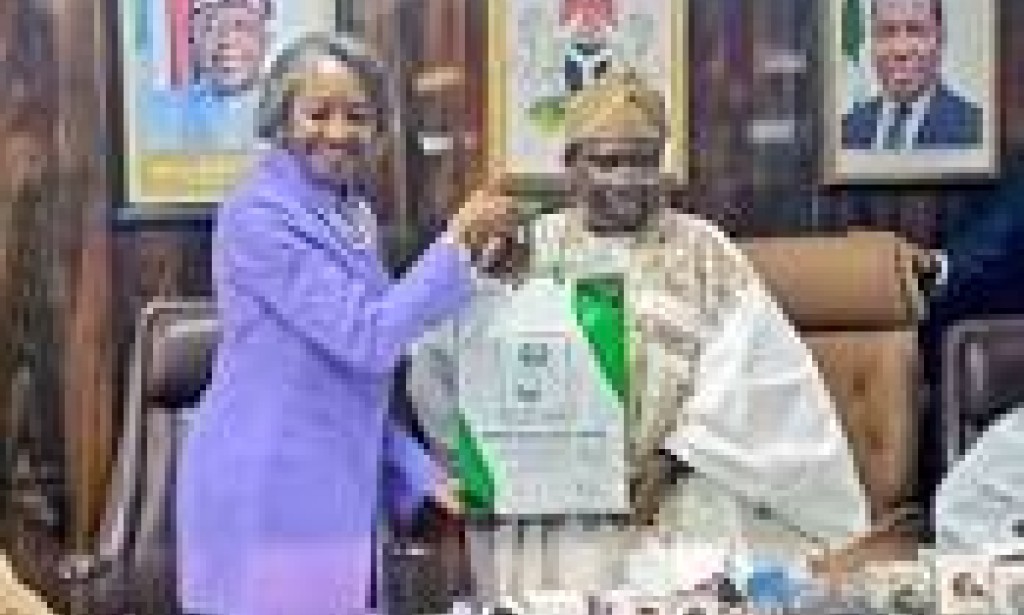 President Bola Tinubu has appointed former Chairman of the Independent National Electoral Commission (INEC), Professor Mahmood Yakubu, as Nigeria's Ambassador to Morocco.